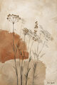 Image Not Available